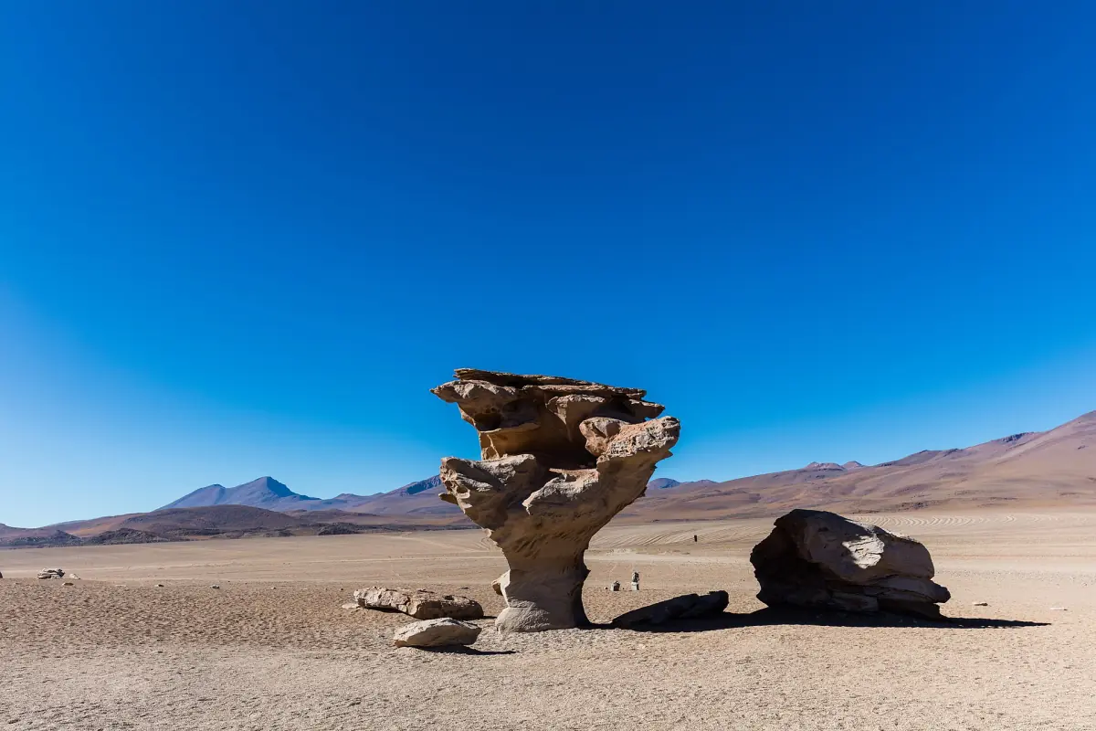 Γrbol de Piedra in the Siloli Desert