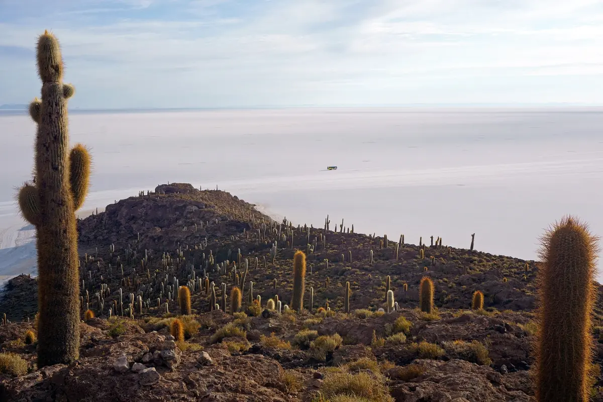 View from Isla Incahuasi over the salt flat